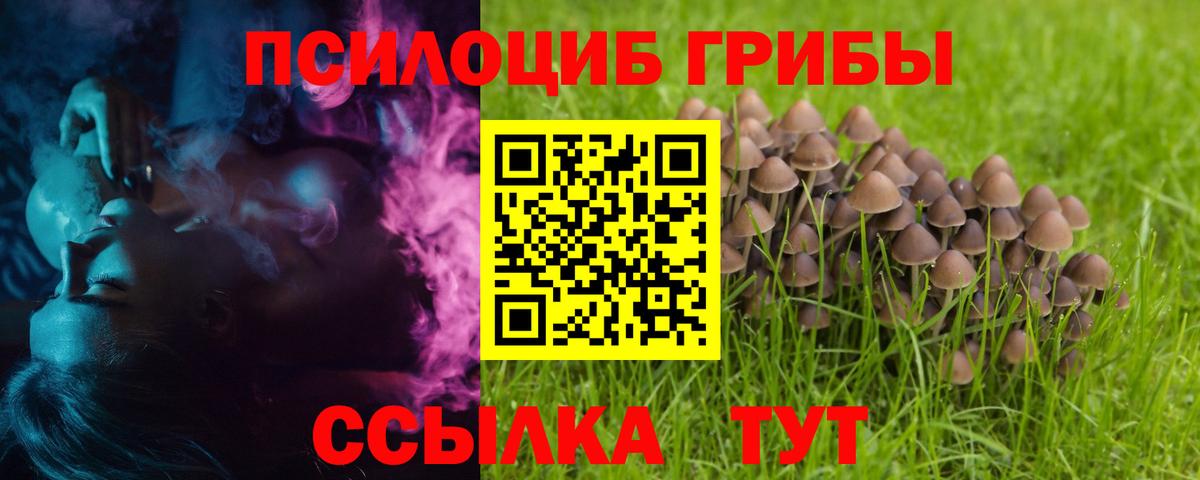 Галлюциногенные грибы ЛСД  Псилоцибиновые грибы ЛСД  Вход с VPN  Видное 